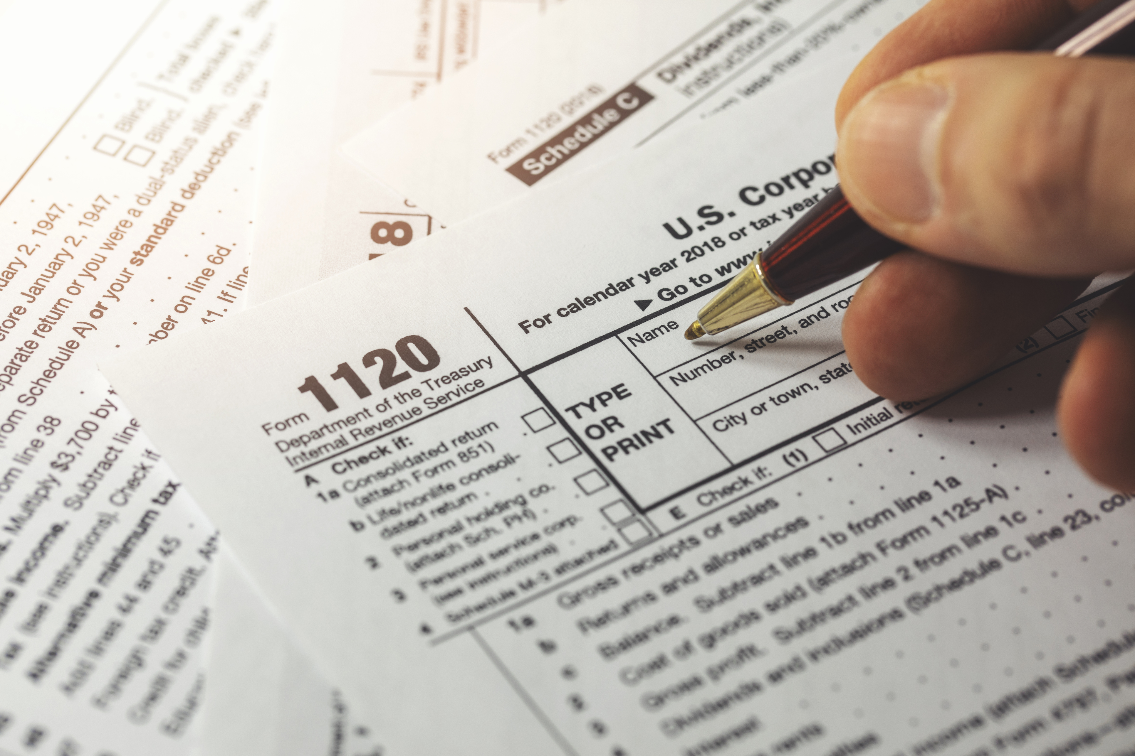 File Your Taxes Early